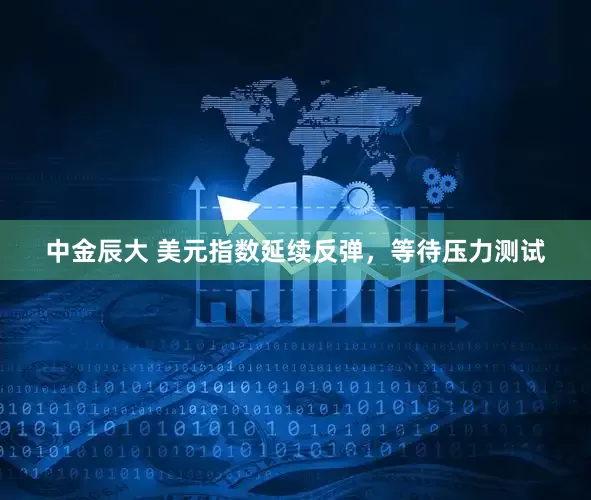中金辰大 美元指数延续反弹，等待压力测试