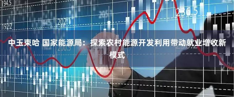 中玉束哈 国家能源局：探索农村能源开发利用带动就业增收新模式